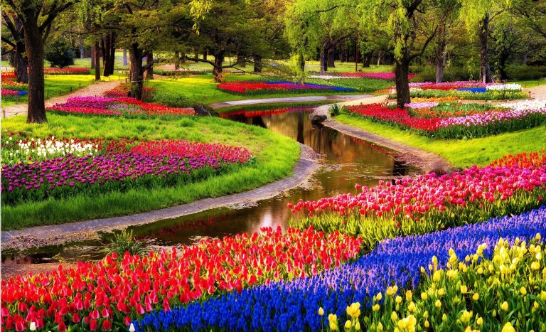 Wat is Keukenhof Tulip Gardens en hoe kom je er?