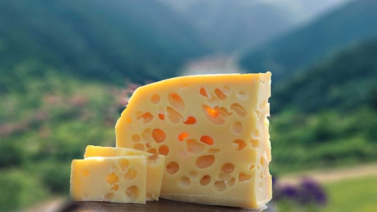 Wat zijn Hollandse kazen? Welke kazen worden er in Nederland geconsumeerd?