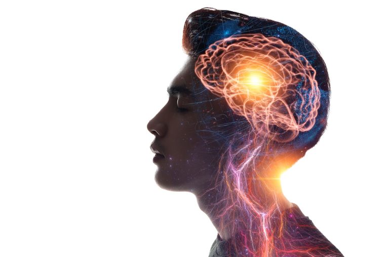 Wat is neuroplasticiteit?